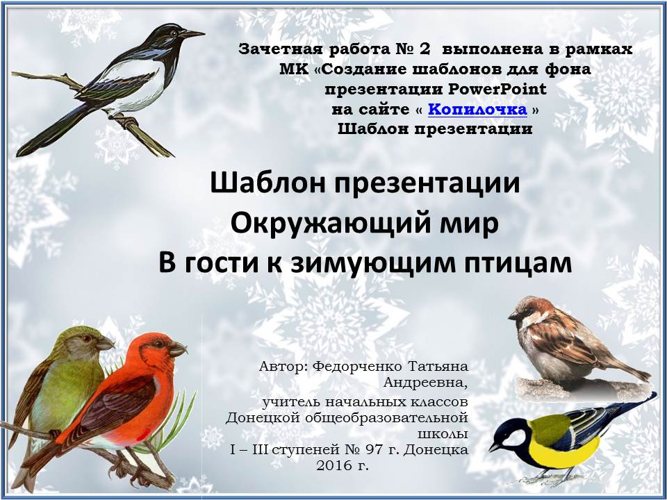 Федорченко Т. А. Шаблон презентации "В гости к зимующим птицам".