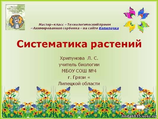 Хрипунова Л.С. Тренажер " Систематика растений"